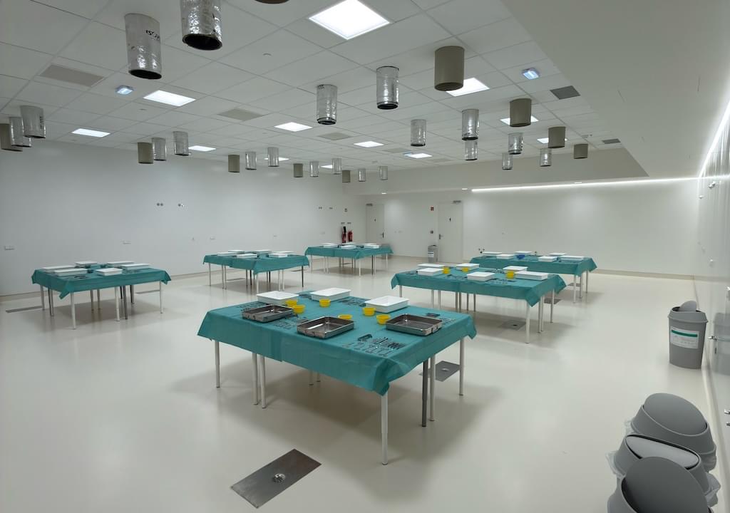 NOVA Medical School <br> Lisbon, Portugal